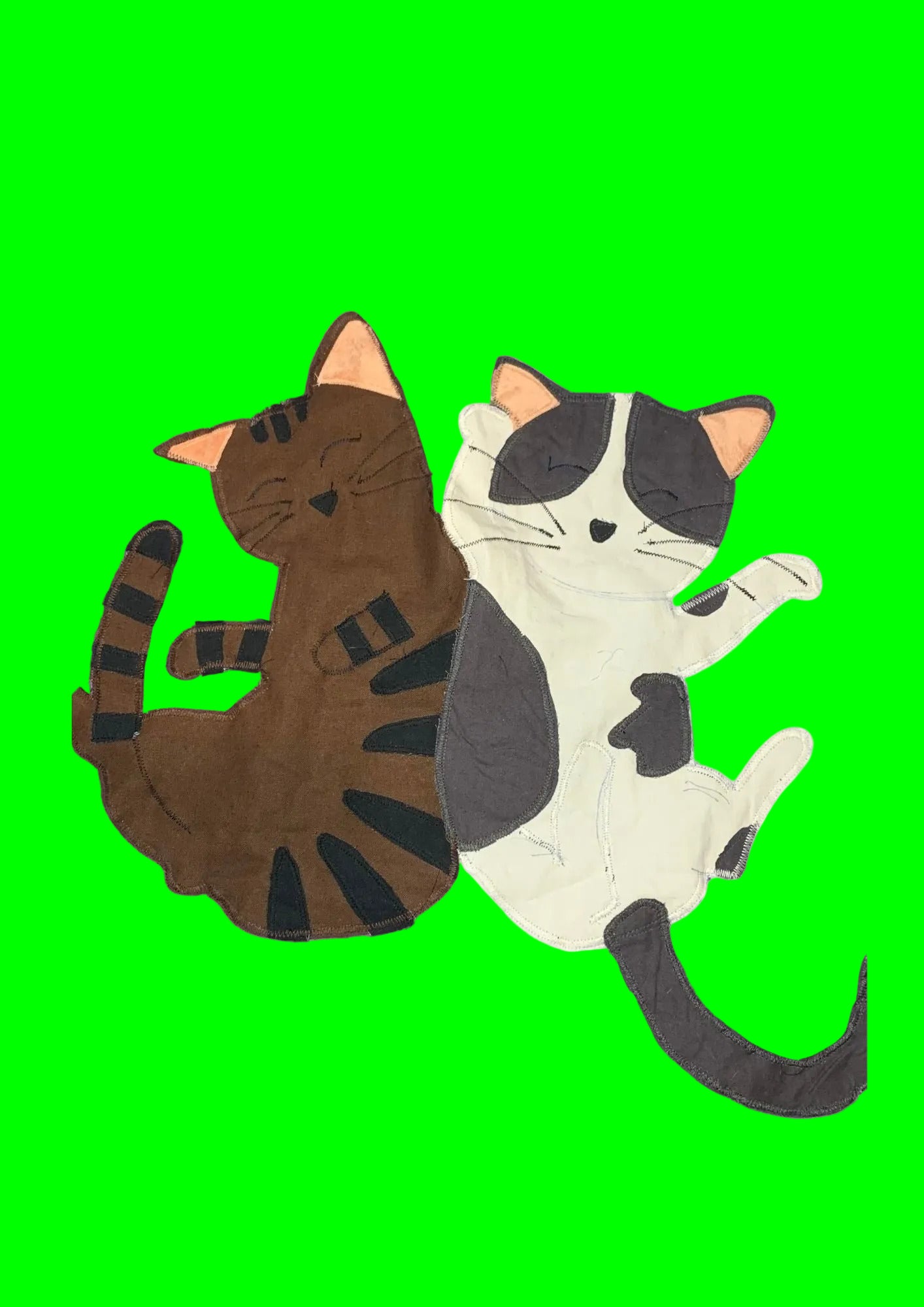 deux chats personnalisés pour illustrer les deux options de personnalisation