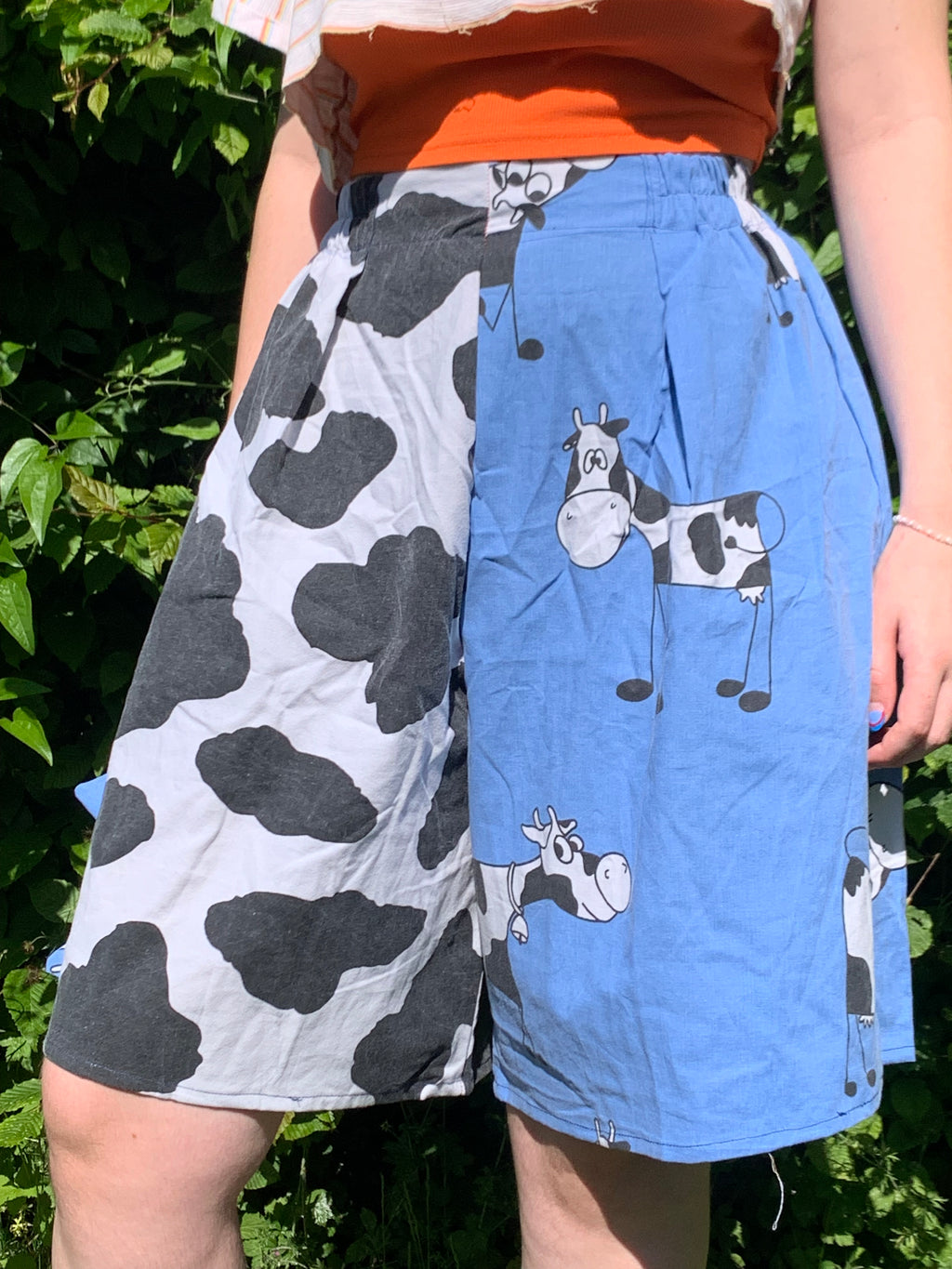 Short dino vache M