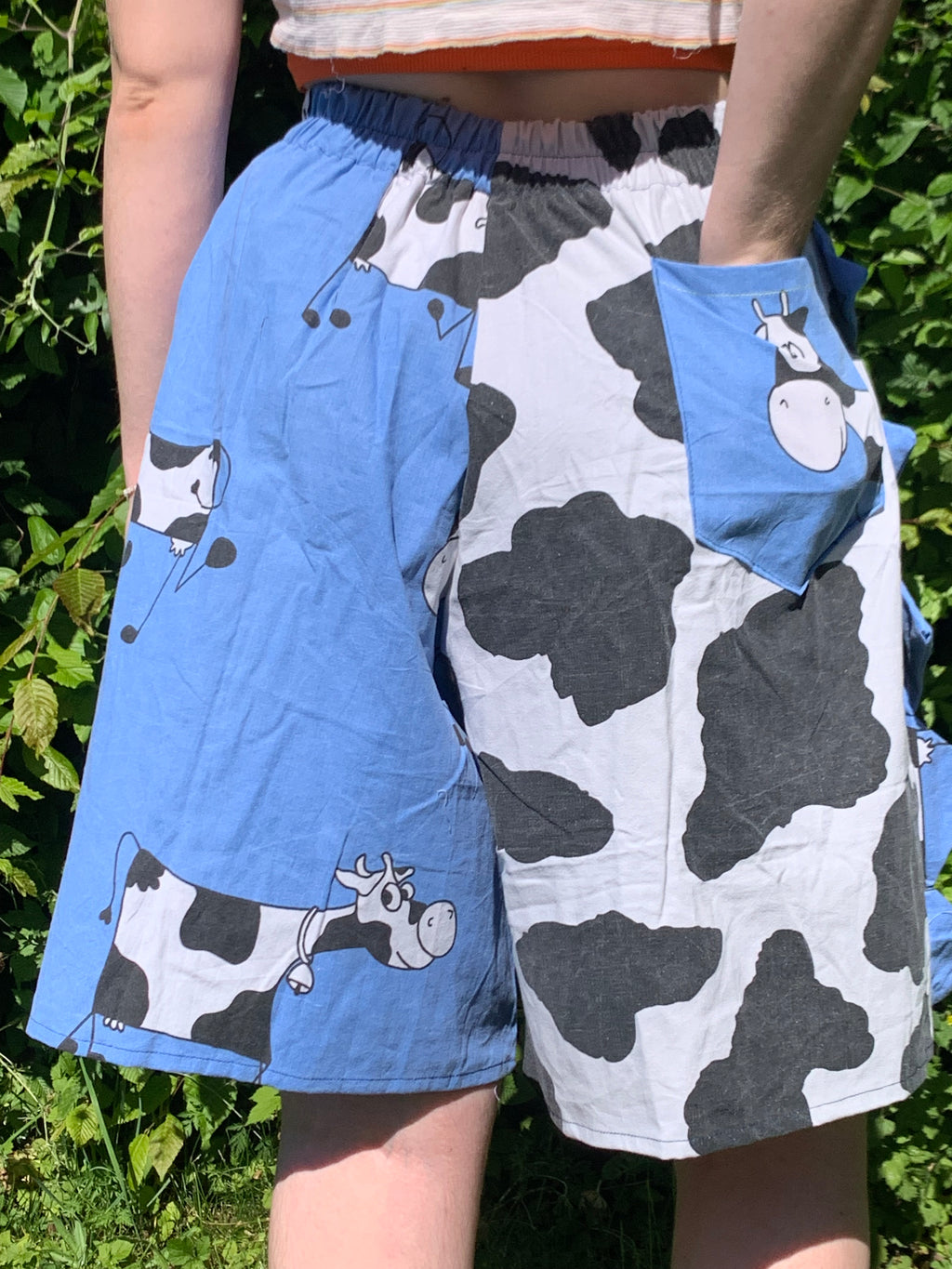 Short dino vache M