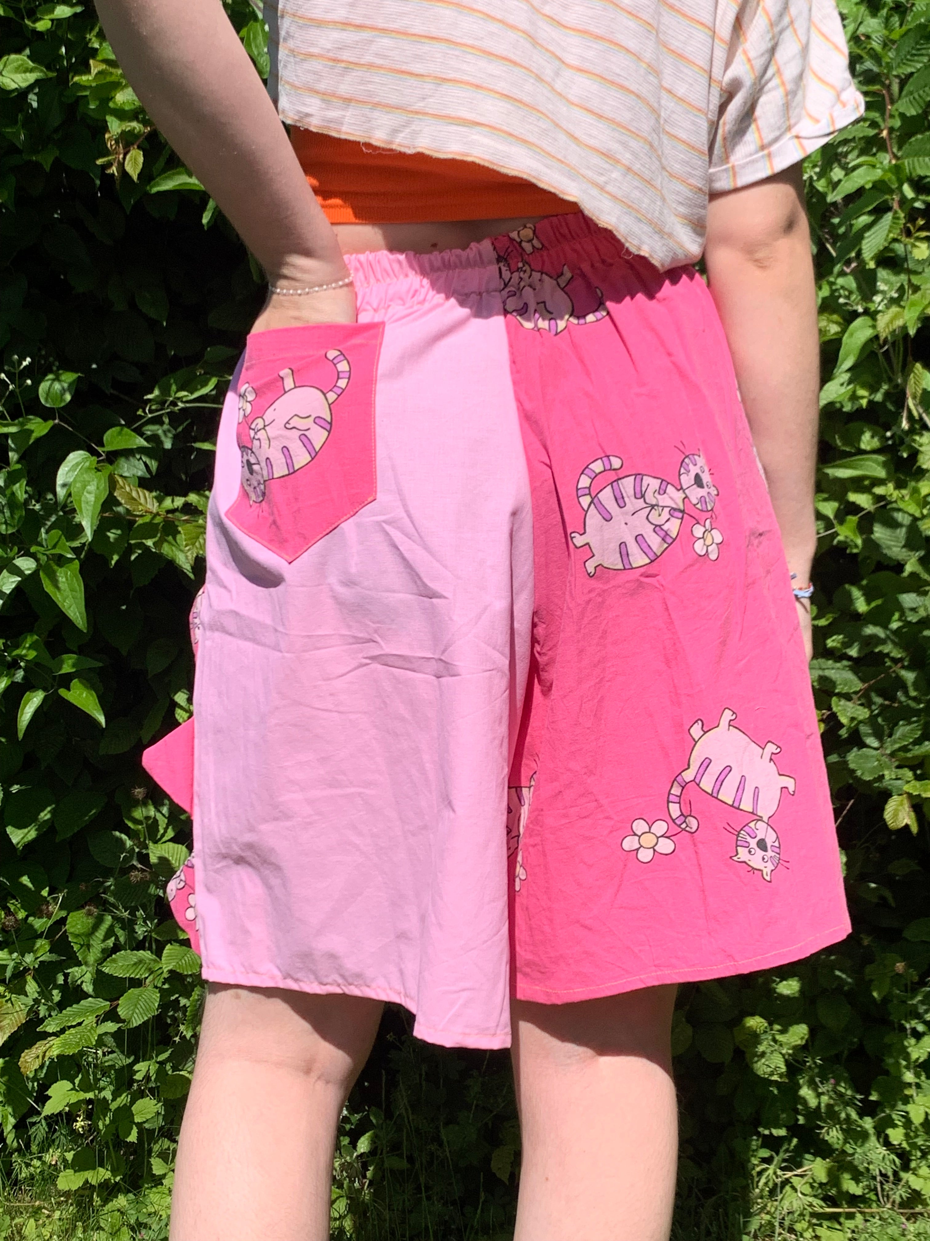 Short dino rose chat M
