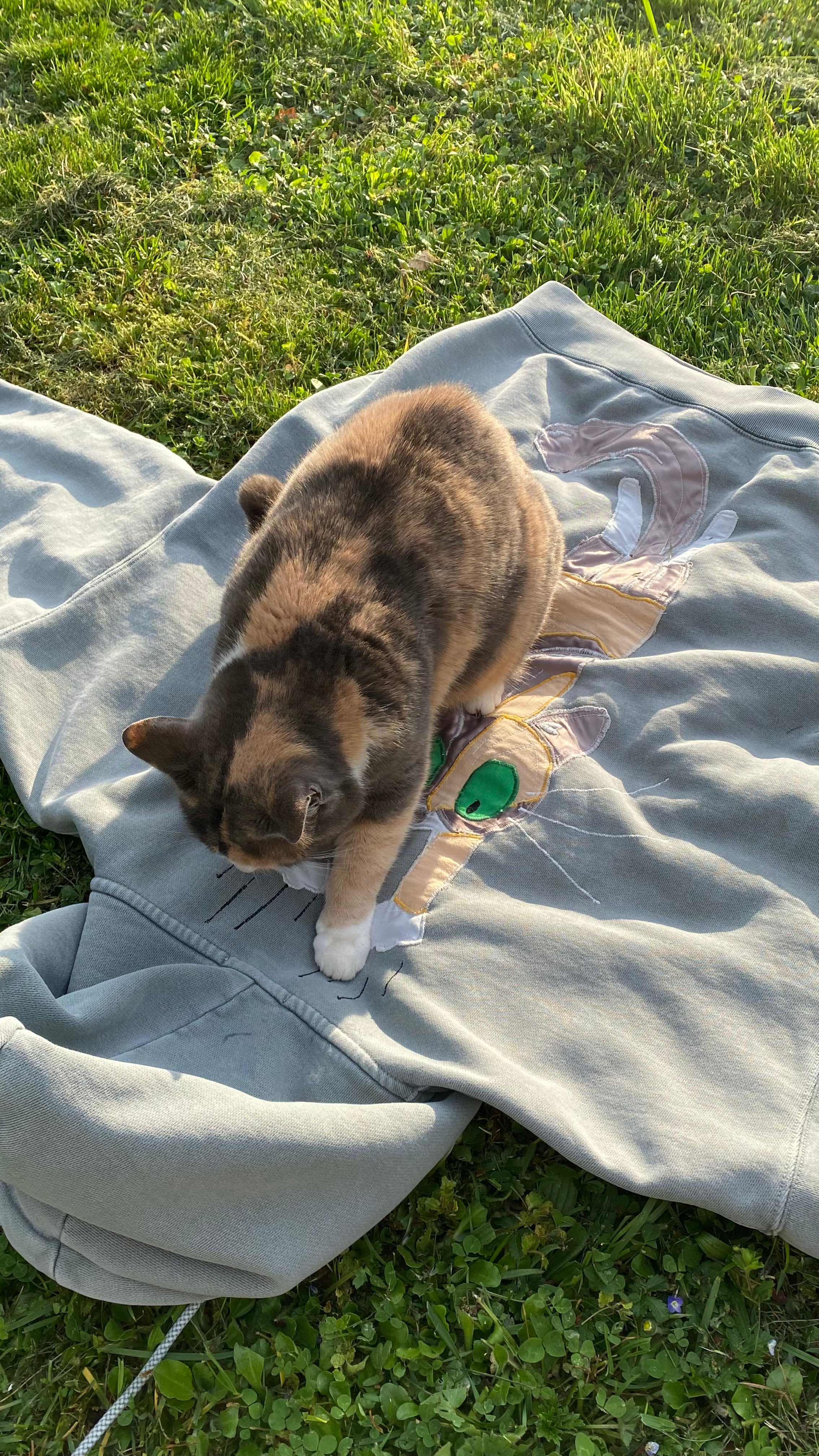 Photo de Radja qui inspecte le pull utilisé pour sa personnalisation 5