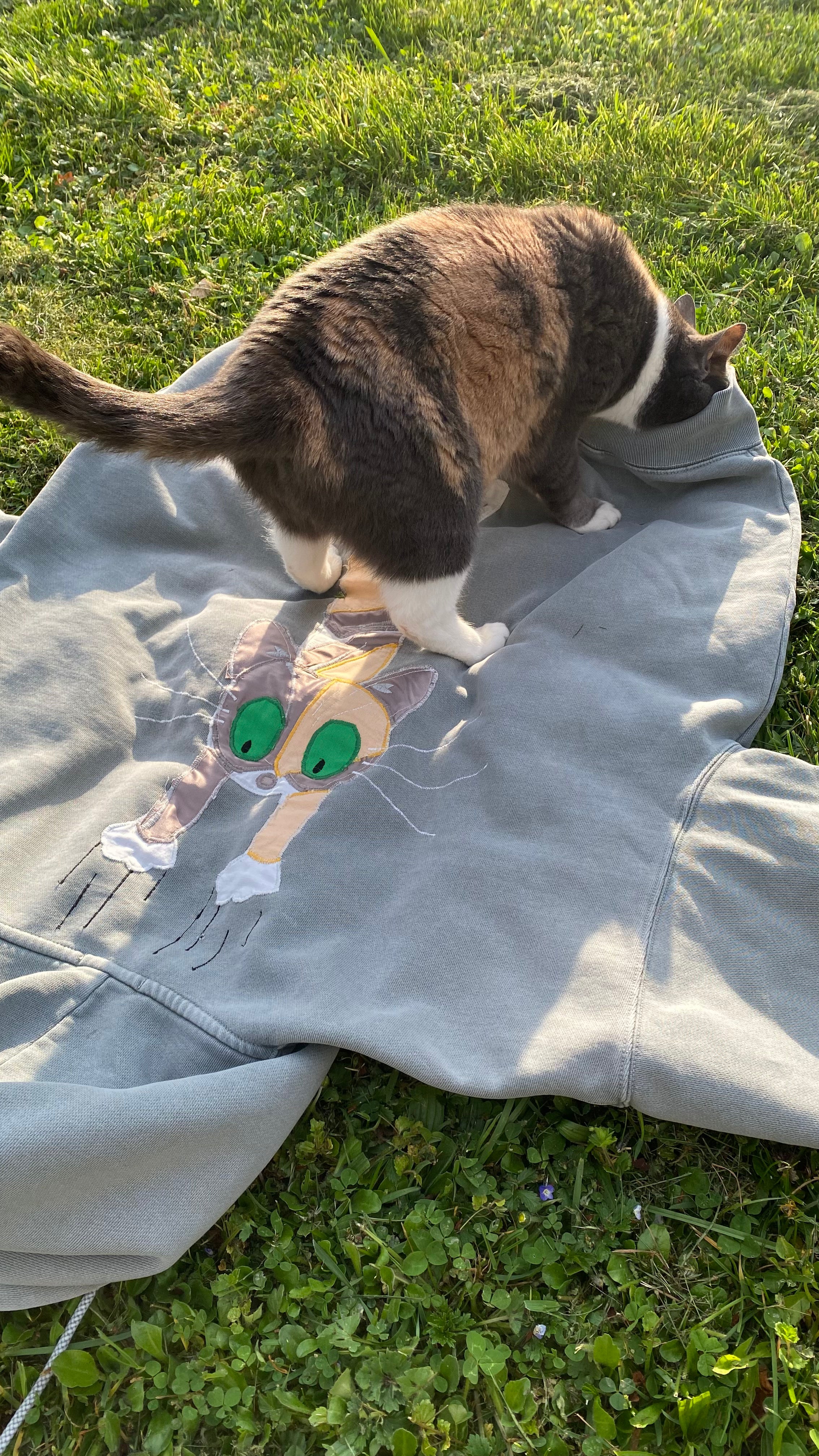 Photo de Radja qui inspecte le pull utilisé pour sa personnalisation 3