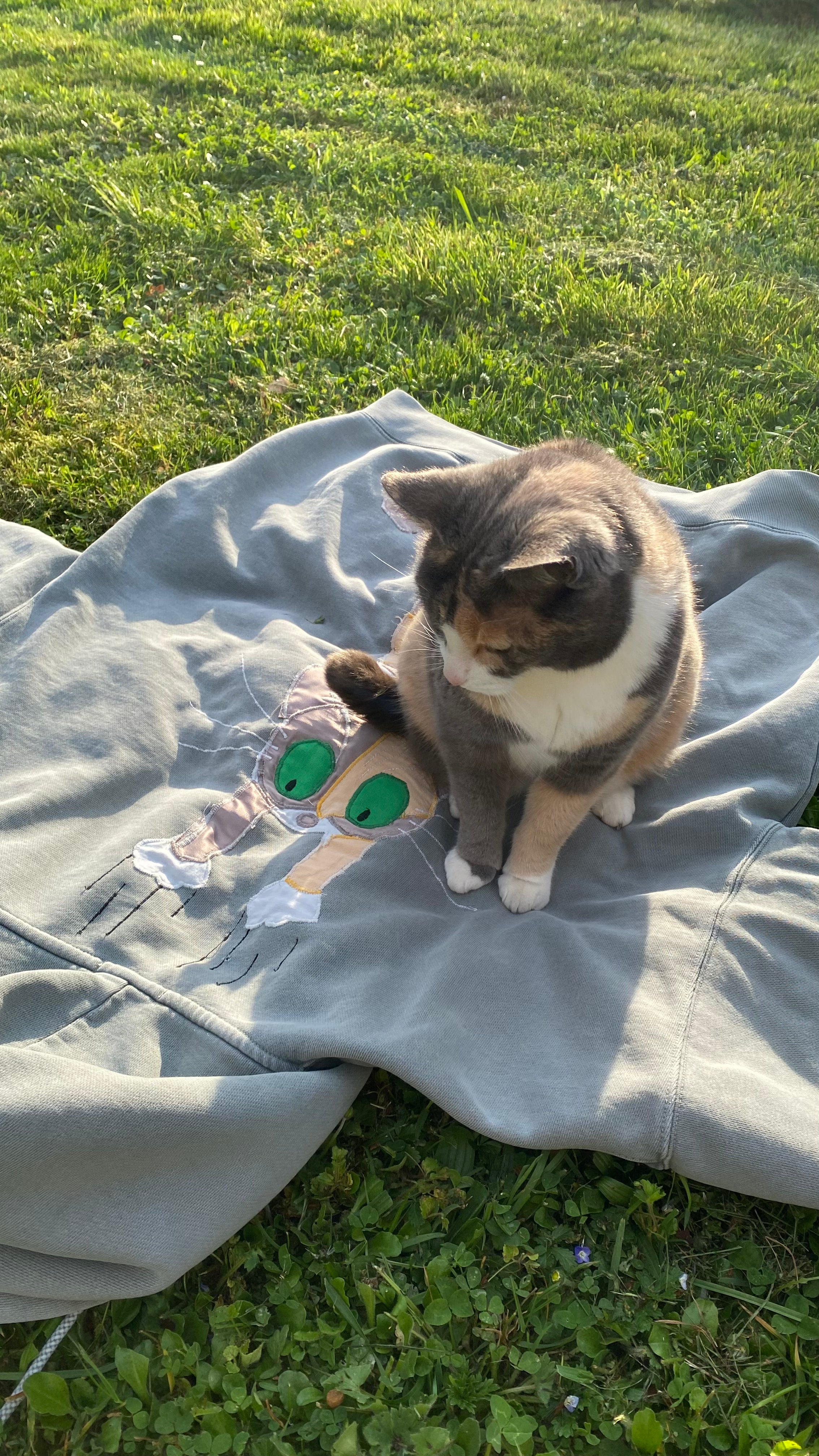 Photo de Radja qui inspecte le pull utilisé pour sa personnalisation 4