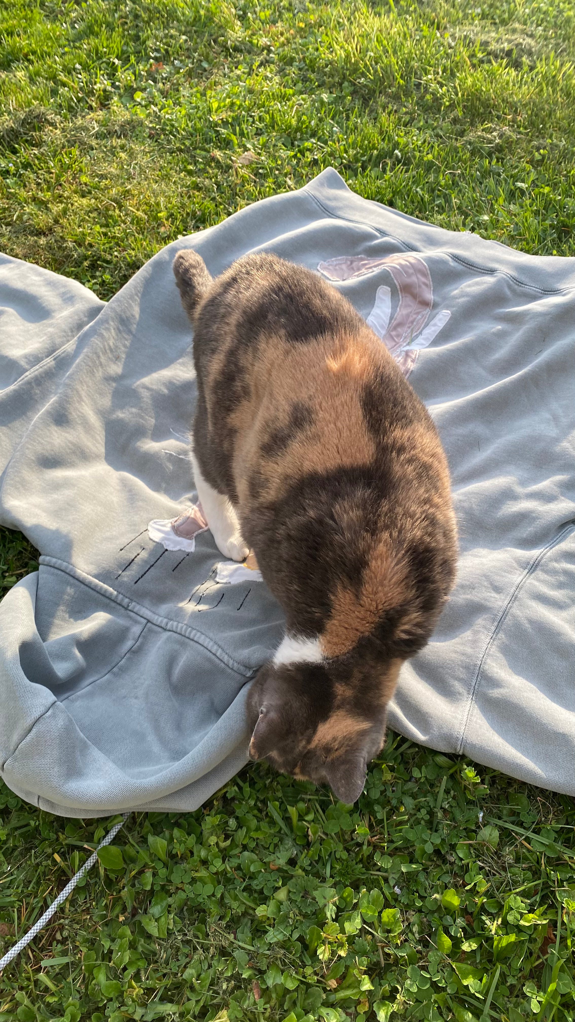 Photo de Radja qui inspecte le pull utilisé pour sa personnalisation 2