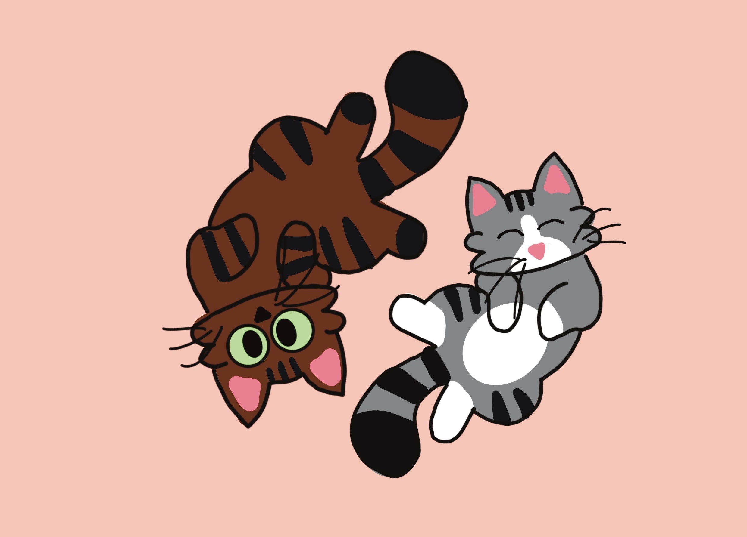 Personnalisation de deux chats joueurs pour un pull