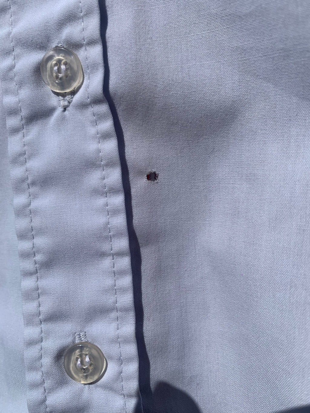 Chemise Dino bleue L