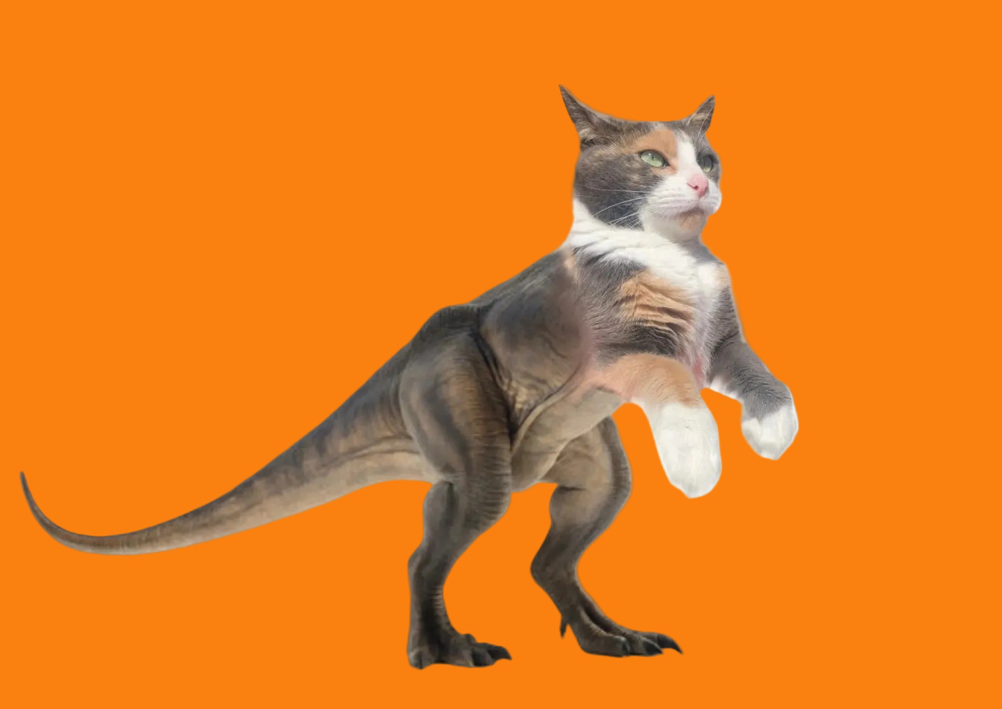 Photo de Radja mixé avec un dinosaure